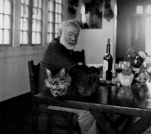 Ernest Hemingway and his cat.
I hope this is me someday, sans the beard. Or maybe with the beard. I don’t know yet.