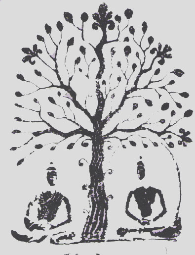Image result for bodhisattva tree image
